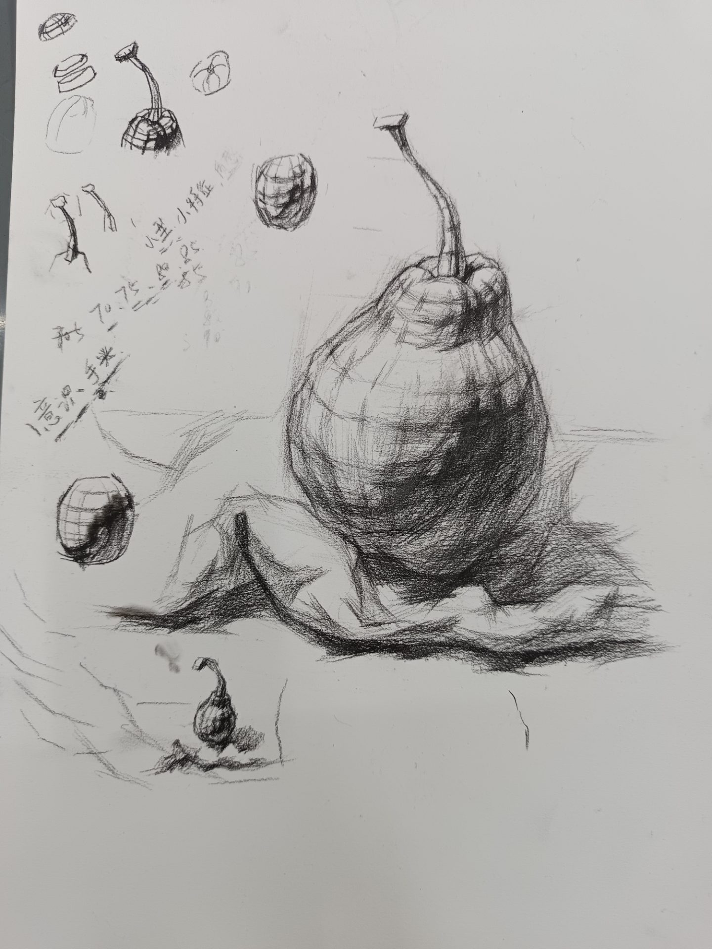 梨 · 静物素描